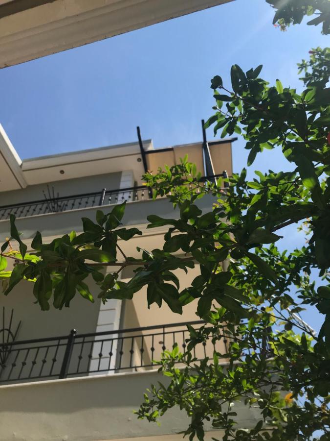 Villa Dorita Luxury Apartments Parga Bagian luar foto